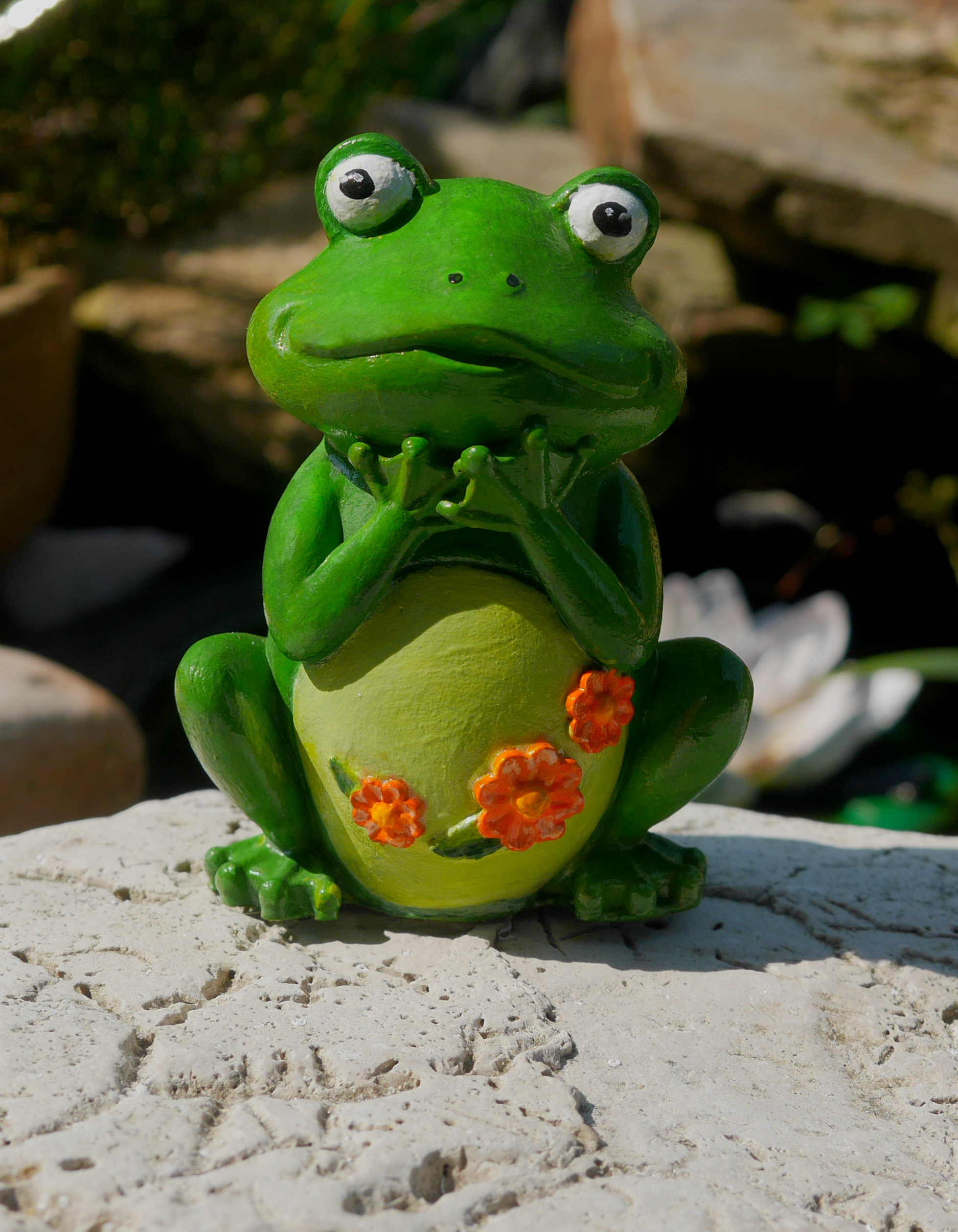 Žabka s oranžovým kvítím