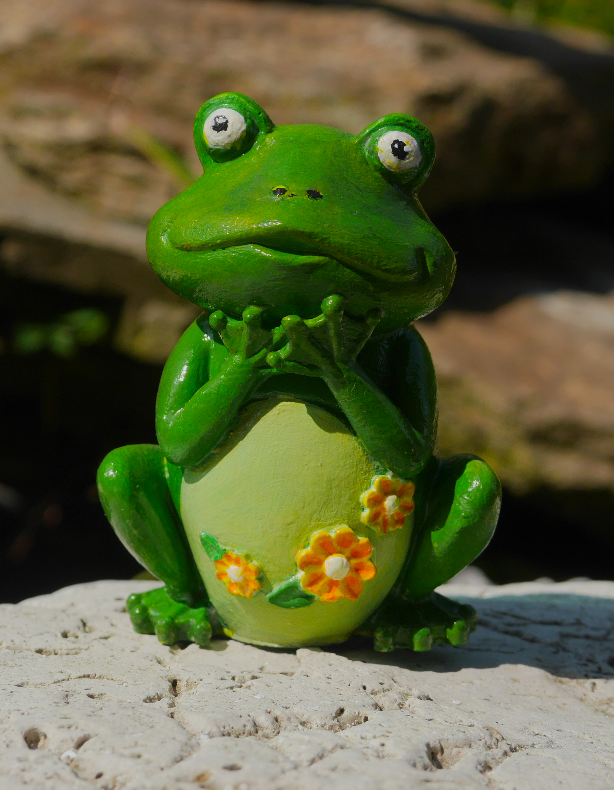 Žabka se žlutým kvítím